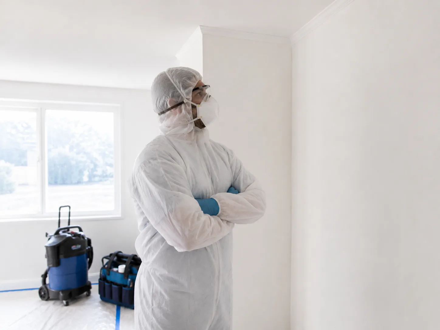 Mold Removal service in Plymouth, IN