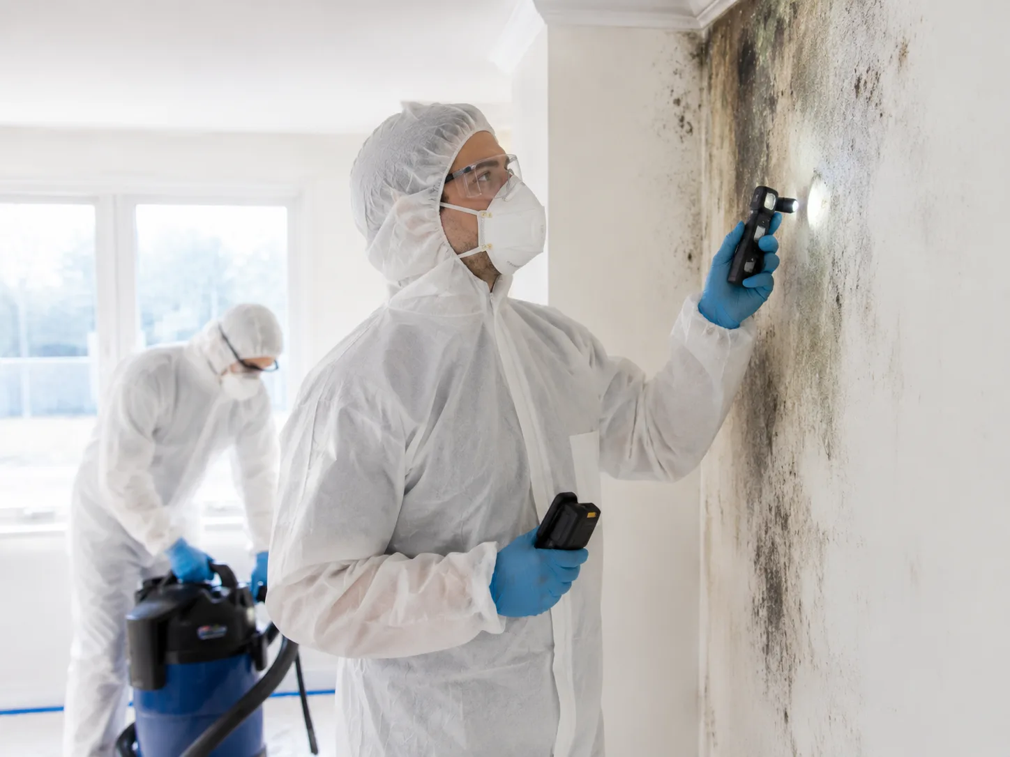 Importance of mold removal for properties in St. Joseph, MI