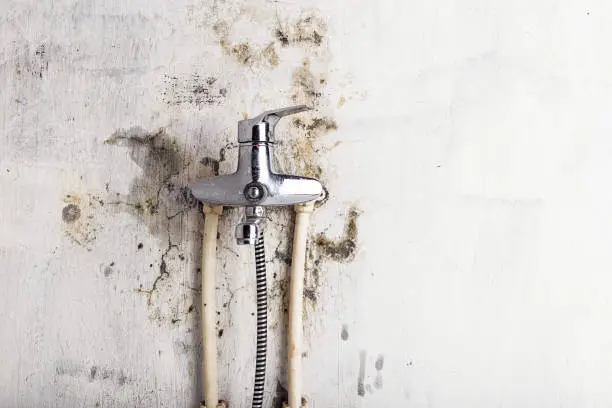 Importance of mold removal for properties in Three Rivers, MI