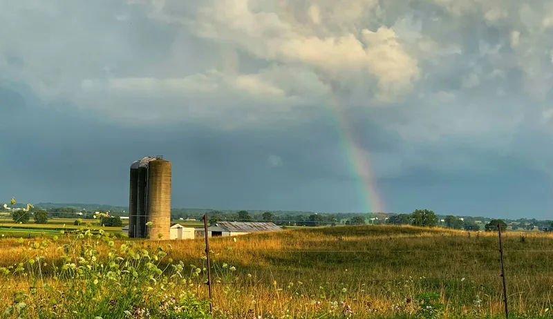 Restoration services in Goshen, Indiana