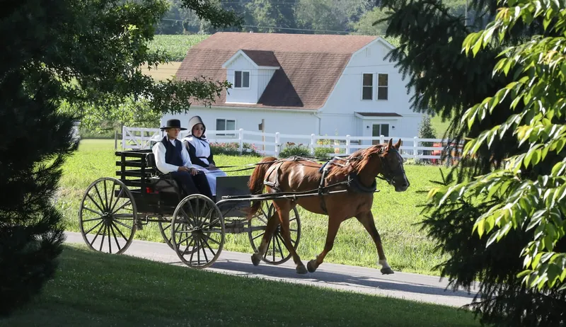 Restoration services in Middlebury, Indiana