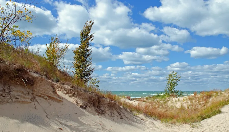 Restoration services in Stevensville, Michigan